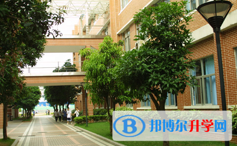 深圳市沙頭角中學(xué)地址，乘車路線