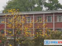 博羅縣博羅中學(xué)歷年招生分?jǐn)?shù)線一覽表(2025參考)