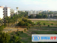 廷鍇紀(jì)念中學(xué)歷年招生分?jǐn)?shù)線一覽表(2025參考)