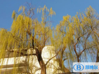 2025陽春市第二中學多少錢(學費明細)