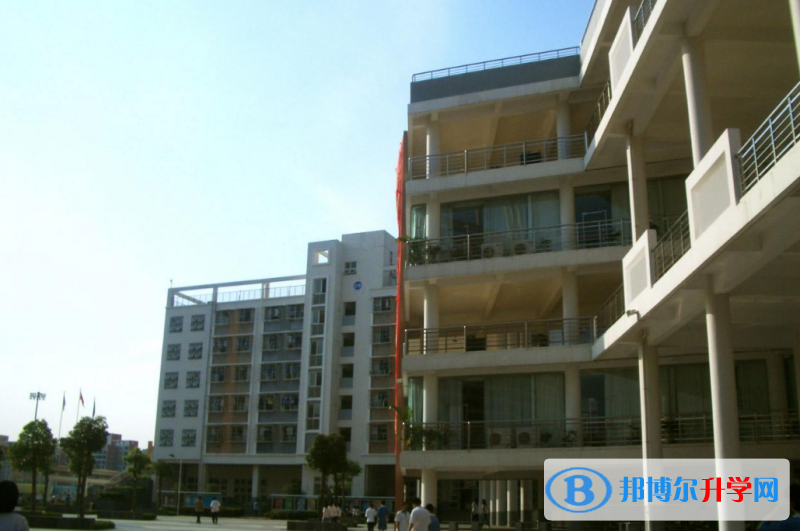2023深圳市教苑中學招生計劃 招生人數是多少(附要求、條件、對象)