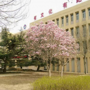 河北樂(lè)亭第二中學(xué)