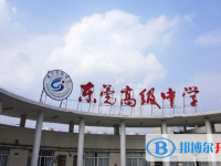 2025東莞高級中學招生計劃 招生人數是多少(附要求、條件、對象)