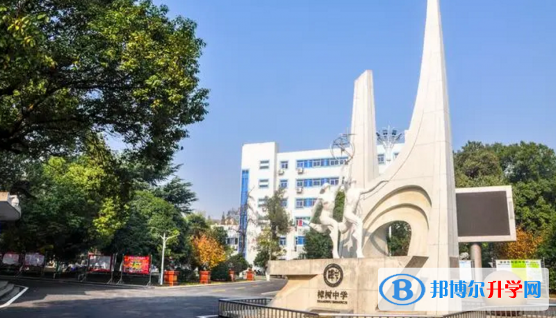 2023年樟樹(shù)招生錄取分?jǐn)?shù)線