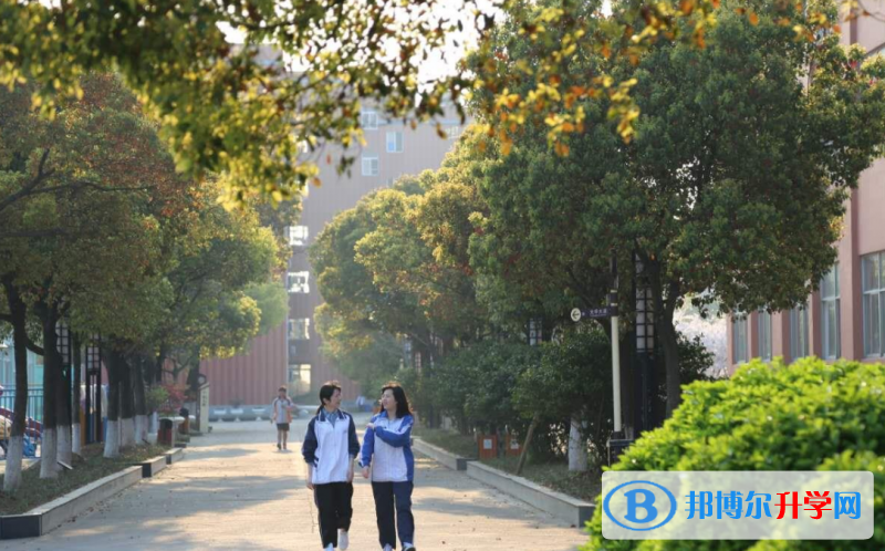 2023年寧波光華學校國際部課程體系