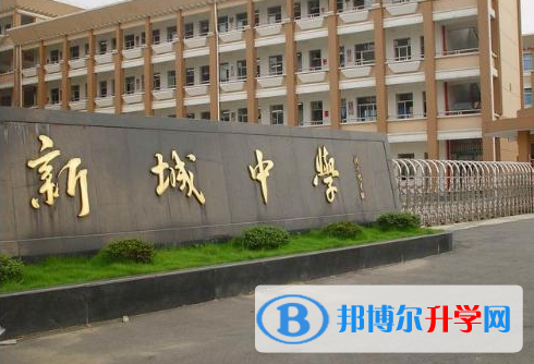 2023廣州市番禺區(qū)洛溪新城中學招生計劃 招生人數是多少(附要求、條件、對象)