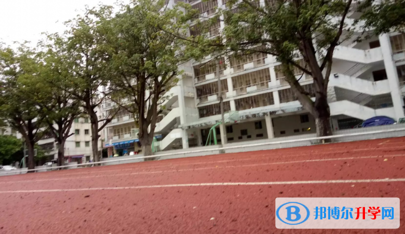 2023電白縣電海中學招生計劃 招生人數是多少(附要求、條件、對象)