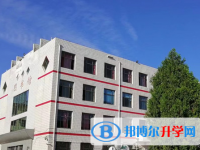河北寧晉中學(xué)地址，乘車路線