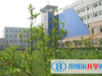 河北徐水綜合高級(jí)中學(xué)地址，乘車路線