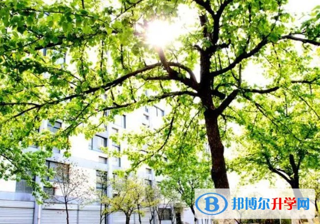 南京師范大學附屬揚子中學怎么樣、好不好