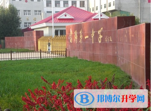 2024富錦市第一中學招生計劃 招生人數是多少(附要求、條件、對象)