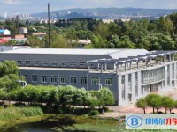 2025七臺(tái)河市第二中學(xué)多少錢(學(xué)費(fèi)明細(xì))