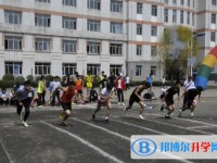 七臺河市第二中學地址，乘車路線
