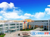 2025綏化市第七中學招生計劃 招生人數是多少(附要求、條件、對象)