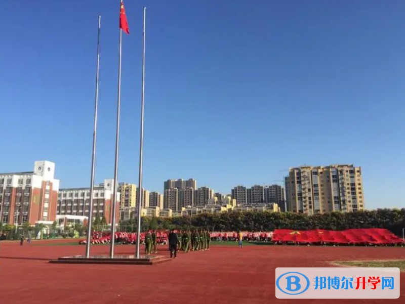 2024望奎縣第二中學招生計劃 招生人數是多少(附要求、條件、對象)