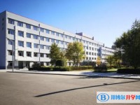 2025綏化市第二中學招生計劃 招生人數是多少(附要求、條件、對象)