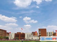 2025綏化市第九中學招生計劃 招生人數是多少(附要求、條件、對象)