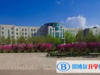 2025綏化市第一中學招生計劃 招生人數是多少(附要求、條件、對象)
