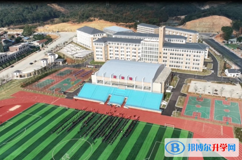 2024慶安縣第三中學招生計劃 招生人數是多少(附要求、條件、對象)
