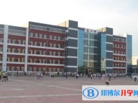 2025肇東市第四中學校招生計劃 招生人數是多少(附要求、條件、對象)