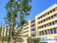 2025重慶市育才中學校招生計劃 招生人數是多少(附要求、條件、對象)