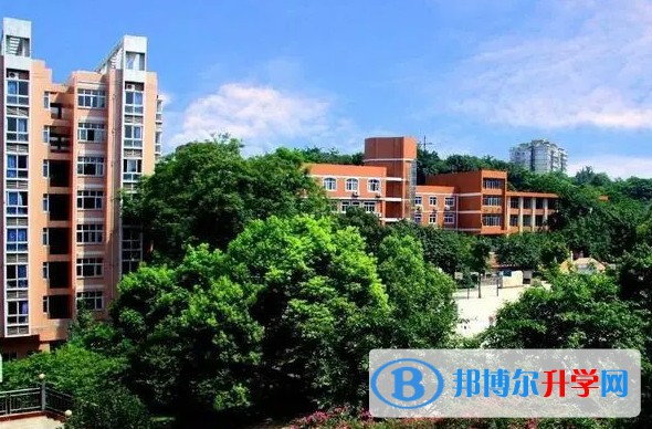 2024重慶市朝陽(yáng)中學(xué)校招生計(jì)劃 招生人數(shù)是多少(附要求、條件、對(duì)象)