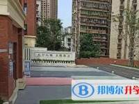 重慶市第十一中學(xué)校招生簡章2025年
