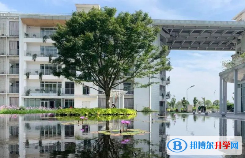 2024重慶市南開兩江中學校多少錢(學費明細)