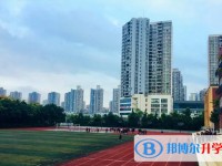 2025重慶市松樹橋中學(xué)校招生計(jì)劃 招生人數(shù)是多少(附要求、條件、對象)