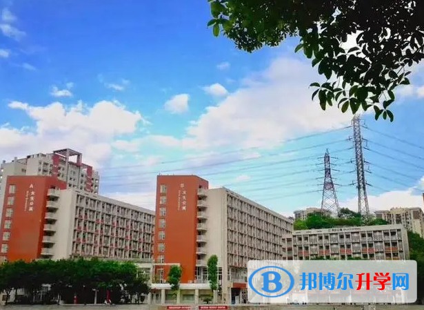 2024重慶市魯能巴蜀中學校招生計劃 招生人數是多少(附要求、條件、對象)