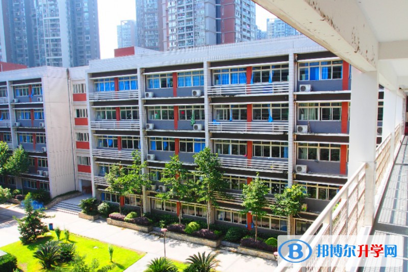 2024重慶市北新巴蜀中學校招生計劃 招生人數是多少(附要求、條件、對象)