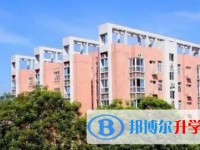 2025重慶市文理學院附屬中學校招生計劃 招生人數是多少(附要求、條件、對象)
