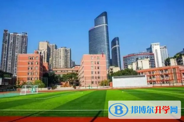 沙坪壩區實驗中學招生簡章2024年