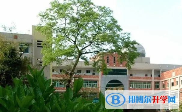重慶市三十九中招生簡章2024年