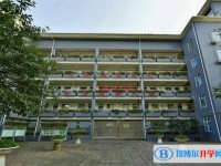 2025重慶市二十八中招生計劃 招生人數是多少(附要求、條件、對象)