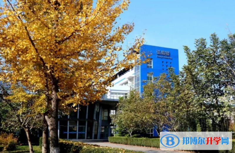 2024石家莊市第三中學招生計劃 招生人數是多少(附要求、條件、對象)