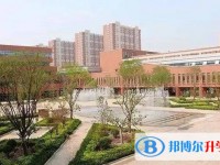 河北聯邦外國語學校招生簡章2025年