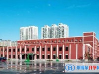 2025行唐同濟(jì)中學(xué)招生計(jì)劃 招生人數(shù)是多少(附要求、條件、對象)
