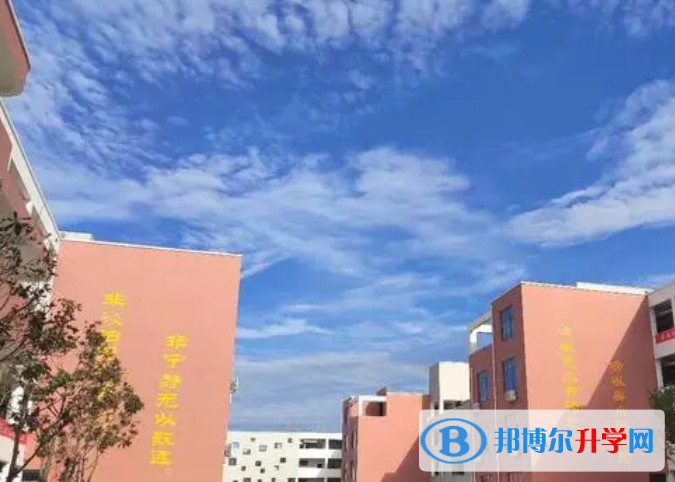 2024成安縣第一中學多少錢(學費明細)
