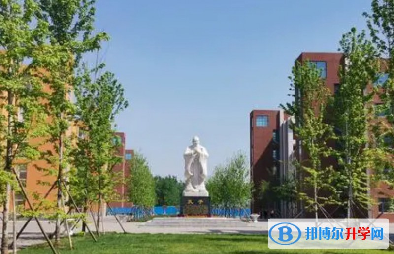 2024成安縣第一中學(xué)招生計劃 招生人數(shù)是多少(附要求、條件、對象)