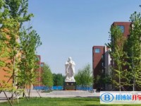 2025成安縣第一中學(xué)招生計(jì)劃 招生人數(shù)是多少(附要求、條件、對(duì)象)