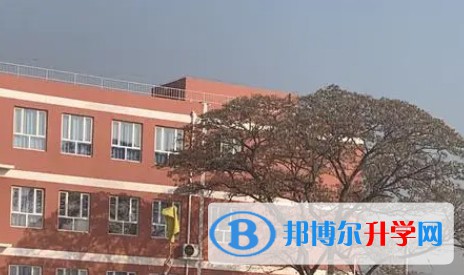 成安縣第三中學(xué)招生簡(jiǎn)章2024年