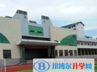 2025成安縣第三中學(xué)招生計(jì)劃 招生人數(shù)是多少(附要求、條件、對(duì)象)