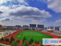 2025大名縣第二中學多少錢(學費明細)