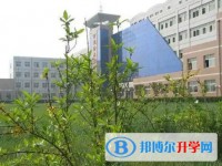 河北徐水綜合高級中學(xué)招生簡章2025年