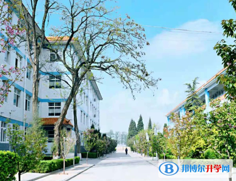 2025保定市徐水區鞏固莊中學招生計劃 招生人數是多少(附要求、條件、對象)