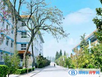 2025保定市徐水區鞏固莊中學招生計劃 招生人數是多少(附要求、條件、對象)