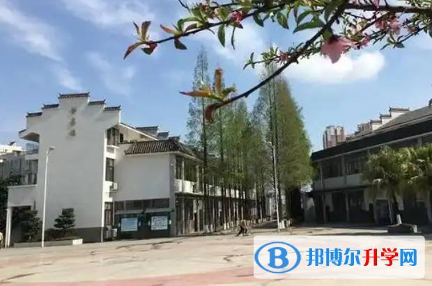 2025龍泉師一招生計劃 招生人數是多少(附要求、條件、對象)