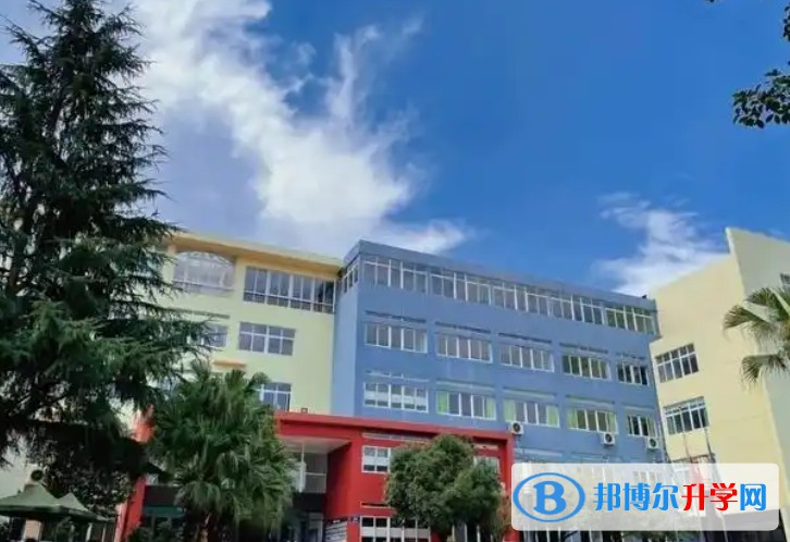 青苗學(xué)校招生簡(jiǎn)章2025年