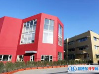 2025青苗學(xué)校招生計劃 招生人數(shù)是多少(附要求、條件、對象)